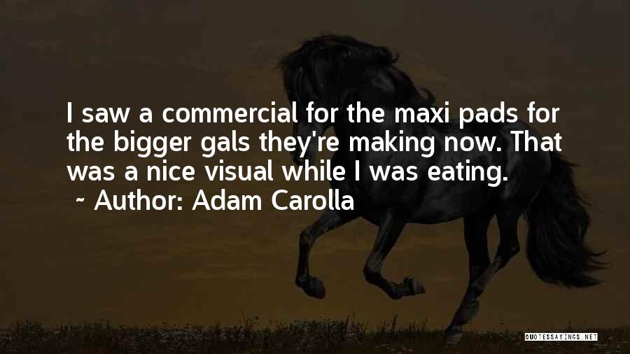 Adam Carolla Quotes: I Saw A Commercial For The Maxi Pads For The Bigger Gals They're Making Now. That Was A Nice Visual