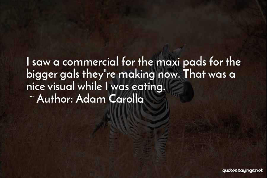 Adam Carolla Quotes: I Saw A Commercial For The Maxi Pads For The Bigger Gals They're Making Now. That Was A Nice Visual