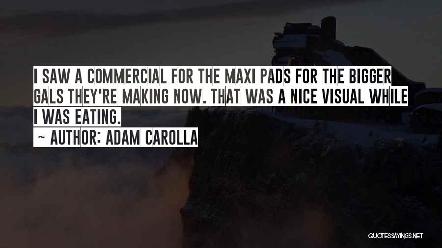 Adam Carolla Quotes: I Saw A Commercial For The Maxi Pads For The Bigger Gals They're Making Now. That Was A Nice Visual