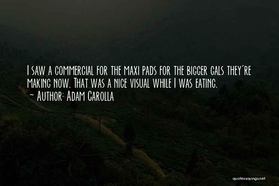 Adam Carolla Quotes: I Saw A Commercial For The Maxi Pads For The Bigger Gals They're Making Now. That Was A Nice Visual