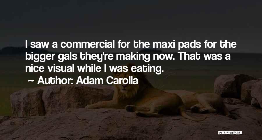 Adam Carolla Quotes: I Saw A Commercial For The Maxi Pads For The Bigger Gals They're Making Now. That Was A Nice Visual