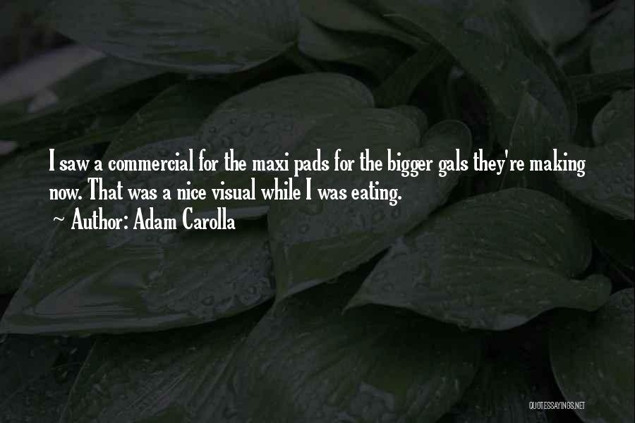 Adam Carolla Quotes: I Saw A Commercial For The Maxi Pads For The Bigger Gals They're Making Now. That Was A Nice Visual