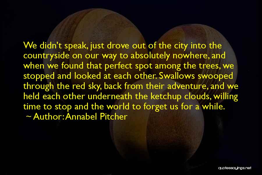 Annabel Pitcher Quotes: We Didn't Speak, Just Drove Out Of The City Into The Countryside On Our Way To Absolutely Nowhere, And When