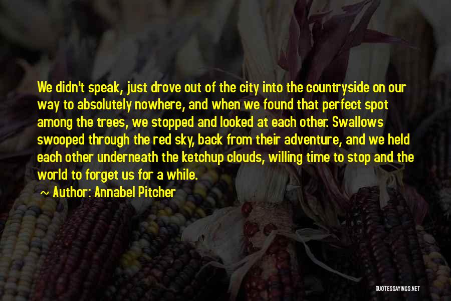 Annabel Pitcher Quotes: We Didn't Speak, Just Drove Out Of The City Into The Countryside On Our Way To Absolutely Nowhere, And When