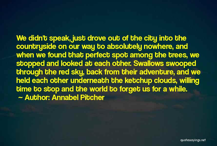 Annabel Pitcher Quotes: We Didn't Speak, Just Drove Out Of The City Into The Countryside On Our Way To Absolutely Nowhere, And When