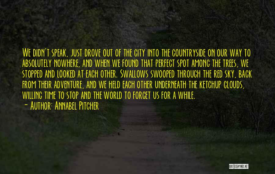 Annabel Pitcher Quotes: We Didn't Speak, Just Drove Out Of The City Into The Countryside On Our Way To Absolutely Nowhere, And When