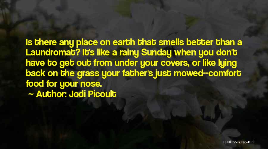 Jodi Picoult Quotes: Is There Any Place On Earth That Smells Better Than A Laundromat? It's Like A Rainy Sunday When You Don't