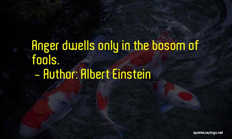 Albert Einstein Quotes: Anger Dwells Only In The Bosom Of Fools.