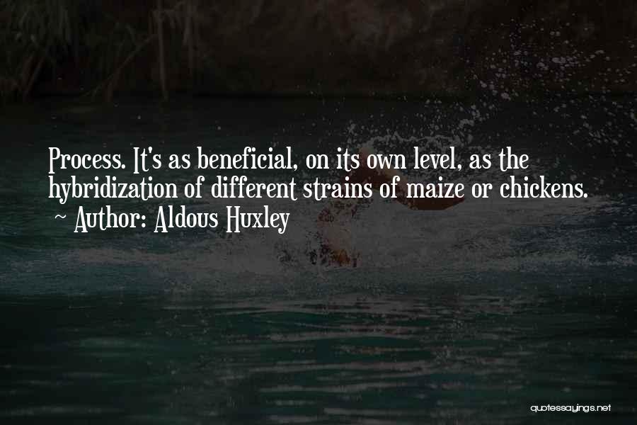 Aldous Huxley Quotes: Process. It's As Beneficial, On Its Own Level, As The Hybridization Of Different Strains Of Maize Or Chickens.