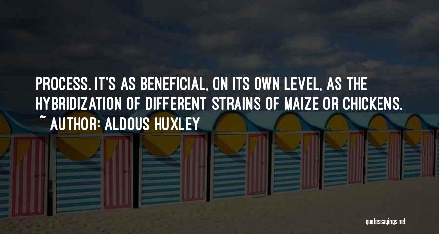 Aldous Huxley Quotes: Process. It's As Beneficial, On Its Own Level, As The Hybridization Of Different Strains Of Maize Or Chickens.