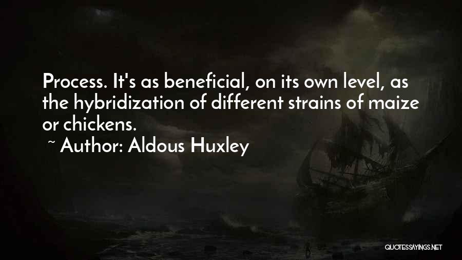 Aldous Huxley Quotes: Process. It's As Beneficial, On Its Own Level, As The Hybridization Of Different Strains Of Maize Or Chickens.