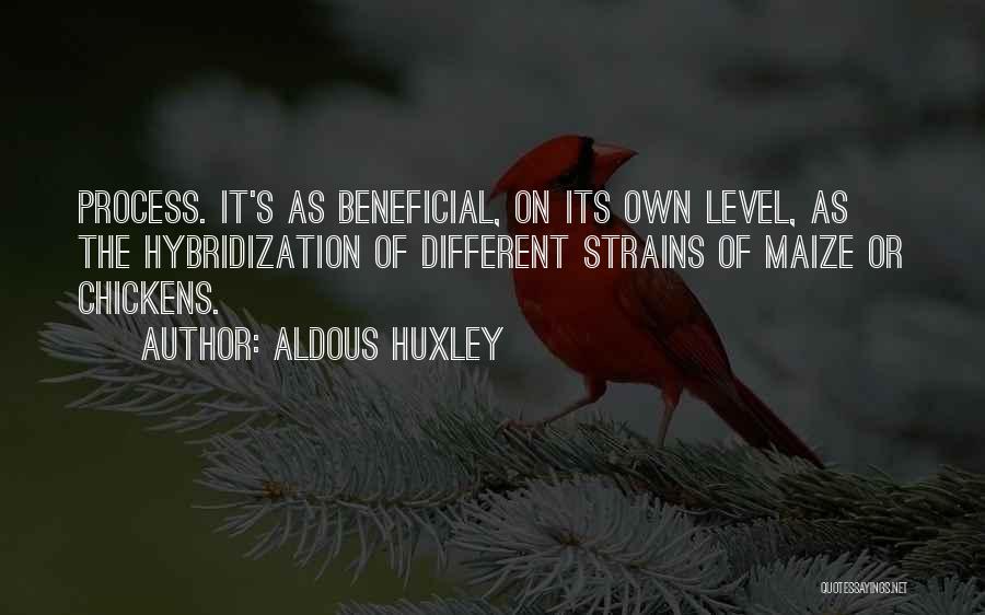 Aldous Huxley Quotes: Process. It's As Beneficial, On Its Own Level, As The Hybridization Of Different Strains Of Maize Or Chickens.