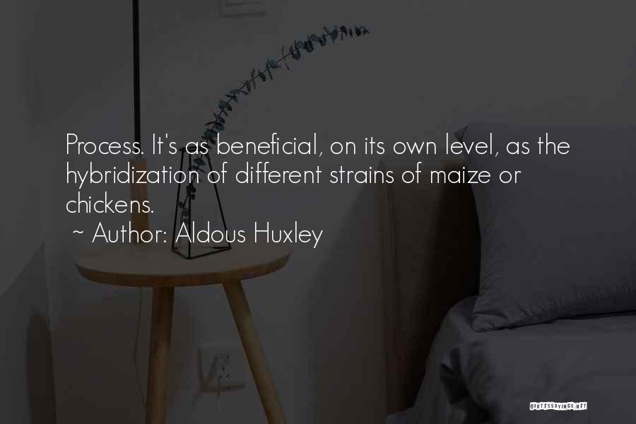 Aldous Huxley Quotes: Process. It's As Beneficial, On Its Own Level, As The Hybridization Of Different Strains Of Maize Or Chickens.