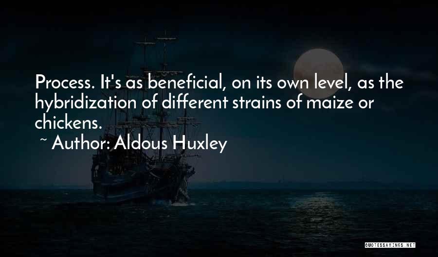 Aldous Huxley Quotes: Process. It's As Beneficial, On Its Own Level, As The Hybridization Of Different Strains Of Maize Or Chickens.