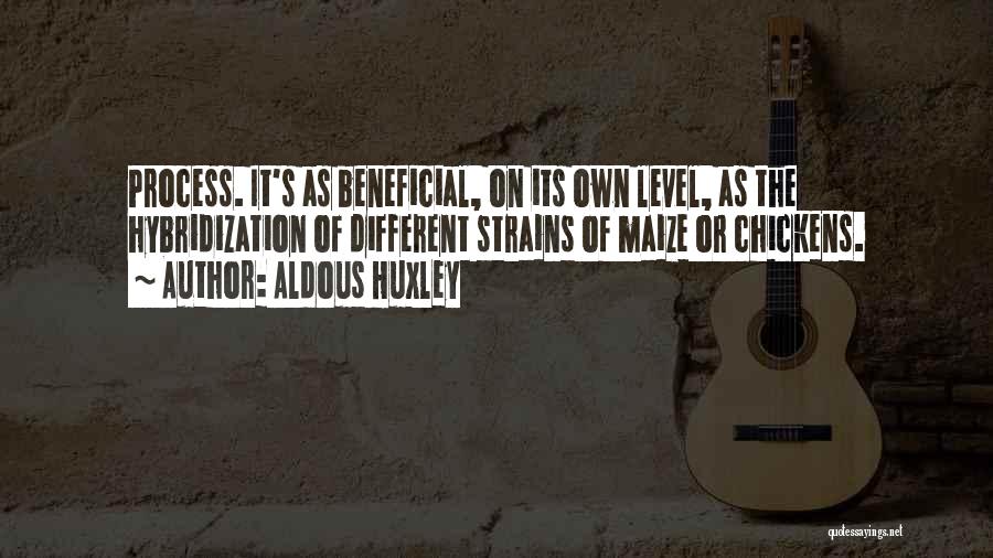 Aldous Huxley Quotes: Process. It's As Beneficial, On Its Own Level, As The Hybridization Of Different Strains Of Maize Or Chickens.