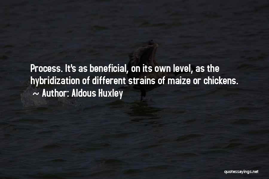 Aldous Huxley Quotes: Process. It's As Beneficial, On Its Own Level, As The Hybridization Of Different Strains Of Maize Or Chickens.