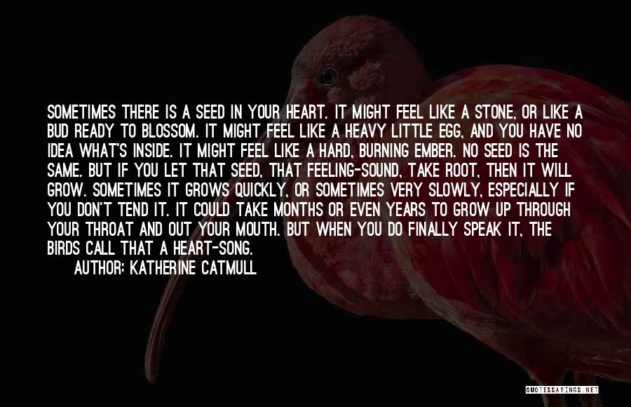 Katherine Catmull Quotes: Sometimes There Is A Seed In Your Heart. It Might Feel Like A Stone, Or Like A Bud Ready To