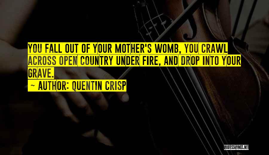 Quentin Crisp Quotes: You Fall Out Of Your Mother's Womb, You Crawl Across Open Country Under Fire, And Drop Into Your Grave.