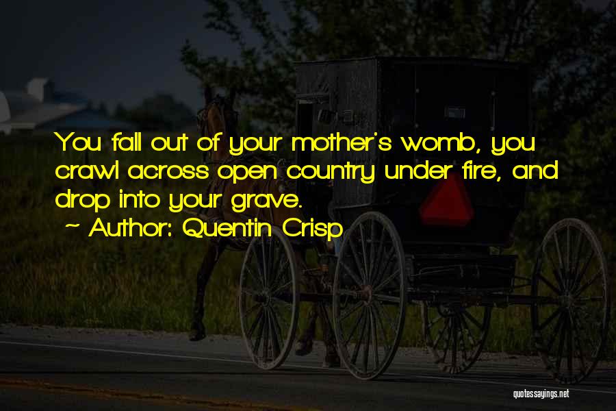 Quentin Crisp Quotes: You Fall Out Of Your Mother's Womb, You Crawl Across Open Country Under Fire, And Drop Into Your Grave.