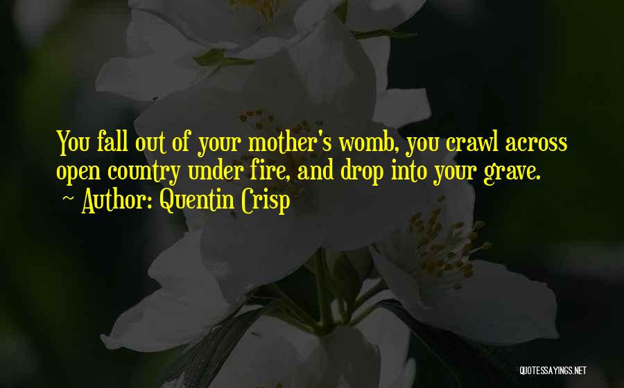 Quentin Crisp Quotes: You Fall Out Of Your Mother's Womb, You Crawl Across Open Country Under Fire, And Drop Into Your Grave.