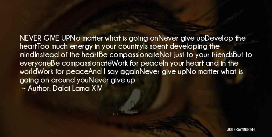 Dalai Lama XIV Quotes: Never Give Upno Matter What Is Going Onnever Give Updevelop The Hearttoo Much Energy In Your Countryis Spent Developing The