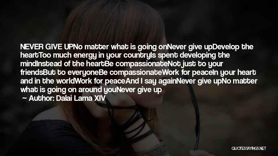 Dalai Lama XIV Quotes: Never Give Upno Matter What Is Going Onnever Give Updevelop The Hearttoo Much Energy In Your Countryis Spent Developing The