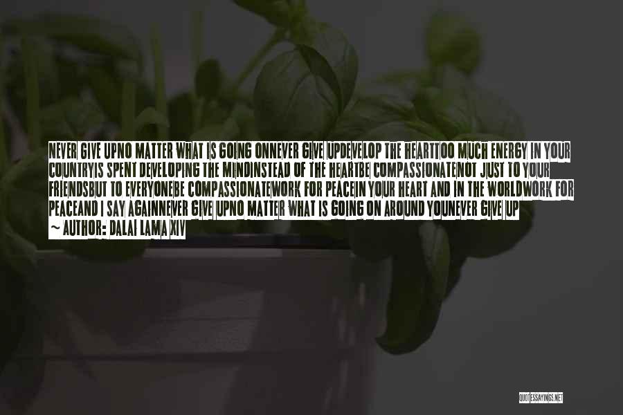 Dalai Lama XIV Quotes: Never Give Upno Matter What Is Going Onnever Give Updevelop The Hearttoo Much Energy In Your Countryis Spent Developing The