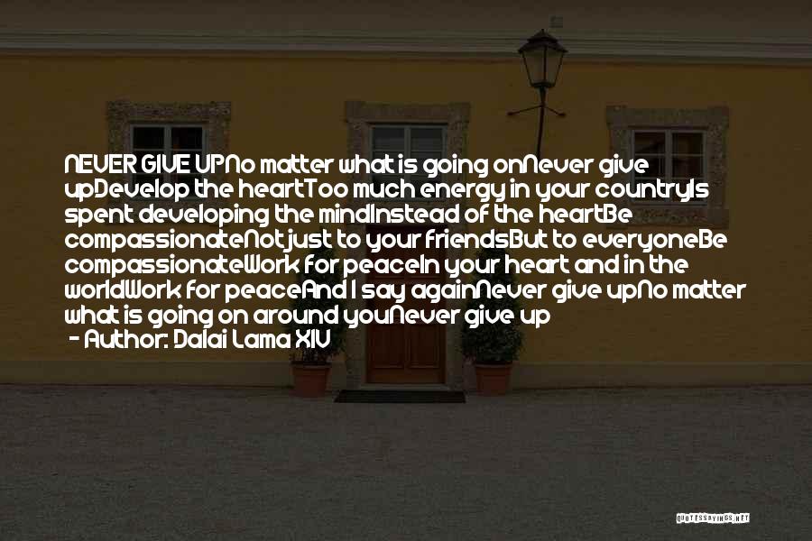 Dalai Lama XIV Quotes: Never Give Upno Matter What Is Going Onnever Give Updevelop The Hearttoo Much Energy In Your Countryis Spent Developing The