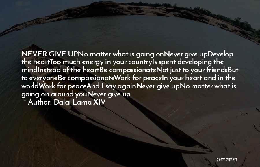 Dalai Lama XIV Quotes: Never Give Upno Matter What Is Going Onnever Give Updevelop The Hearttoo Much Energy In Your Countryis Spent Developing The