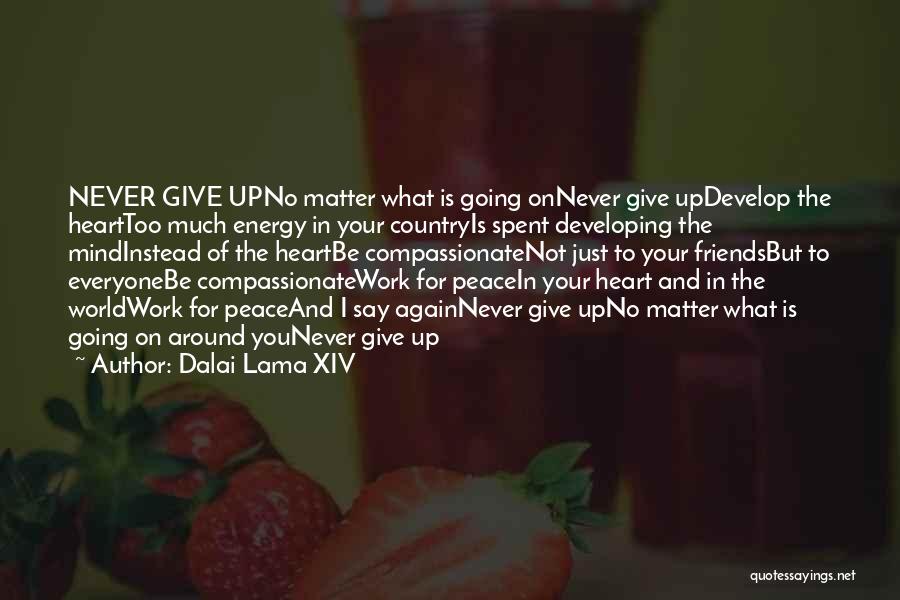Dalai Lama XIV Quotes: Never Give Upno Matter What Is Going Onnever Give Updevelop The Hearttoo Much Energy In Your Countryis Spent Developing The