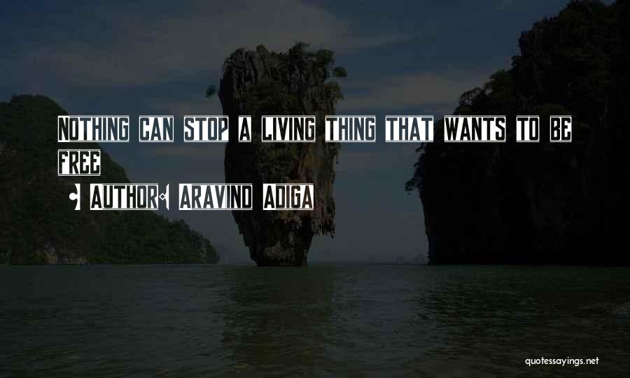 Aravind Adiga Quotes: Nothing Can Stop A Living Thing That Wants To Be Free
