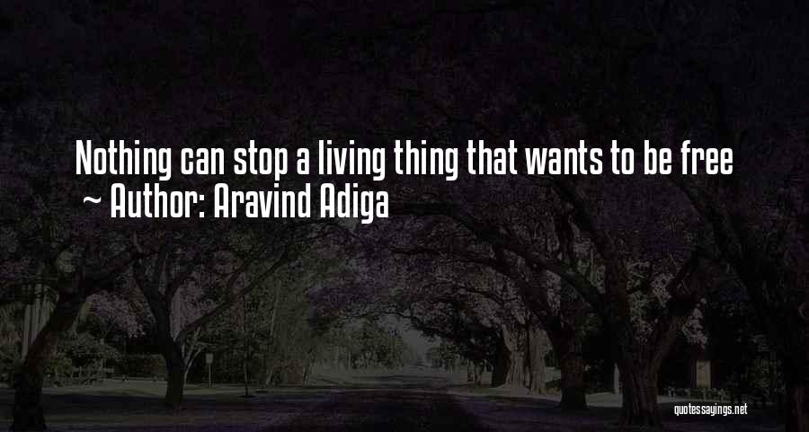 Aravind Adiga Quotes: Nothing Can Stop A Living Thing That Wants To Be Free