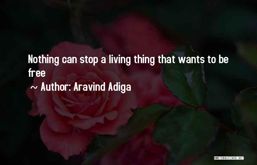 Aravind Adiga Quotes: Nothing Can Stop A Living Thing That Wants To Be Free