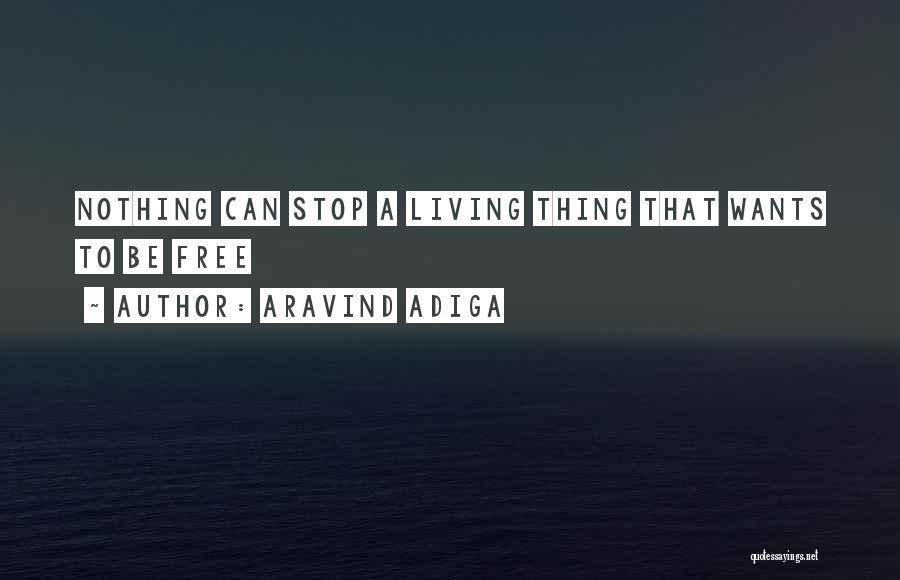 Aravind Adiga Quotes: Nothing Can Stop A Living Thing That Wants To Be Free