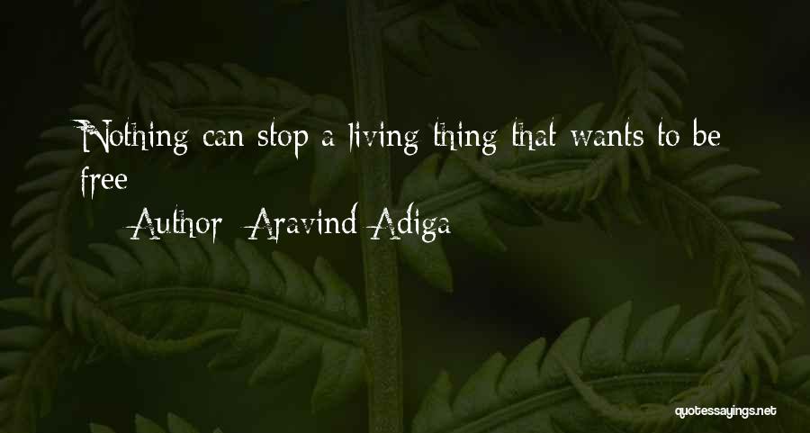 Aravind Adiga Quotes: Nothing Can Stop A Living Thing That Wants To Be Free