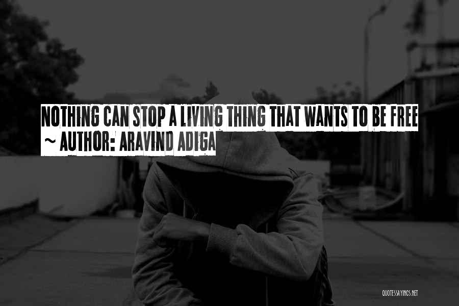 Aravind Adiga Quotes: Nothing Can Stop A Living Thing That Wants To Be Free