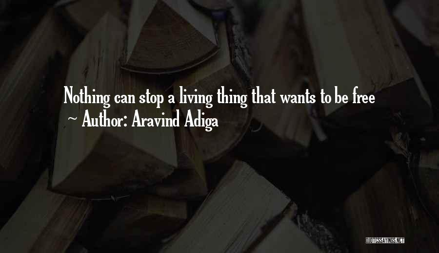 Aravind Adiga Quotes: Nothing Can Stop A Living Thing That Wants To Be Free