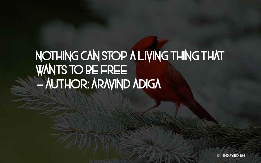 Aravind Adiga Quotes: Nothing Can Stop A Living Thing That Wants To Be Free