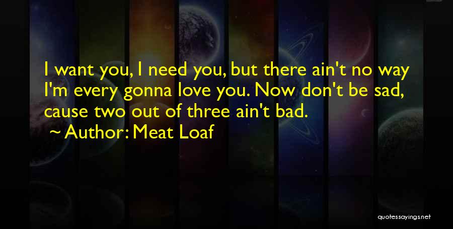 Meat Loaf Quotes: I Want You, I Need You, But There Ain't No Way I'm Every Gonna Love You. Now Don't Be Sad,