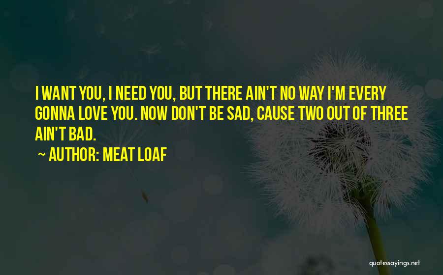 Meat Loaf Quotes: I Want You, I Need You, But There Ain't No Way I'm Every Gonna Love You. Now Don't Be Sad,