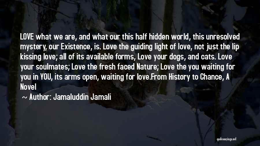 Jamaluddin Jamali Quotes: Love What We Are, And What Our This Half Hidden World, This Unresolved Mystery, Our Existence, Is. Love The Guiding