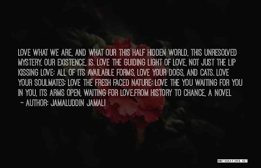 Jamaluddin Jamali Quotes: Love What We Are, And What Our This Half Hidden World, This Unresolved Mystery, Our Existence, Is. Love The Guiding