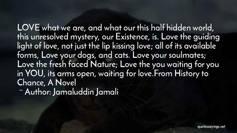 Jamaluddin Jamali Quotes: Love What We Are, And What Our This Half Hidden World, This Unresolved Mystery, Our Existence, Is. Love The Guiding