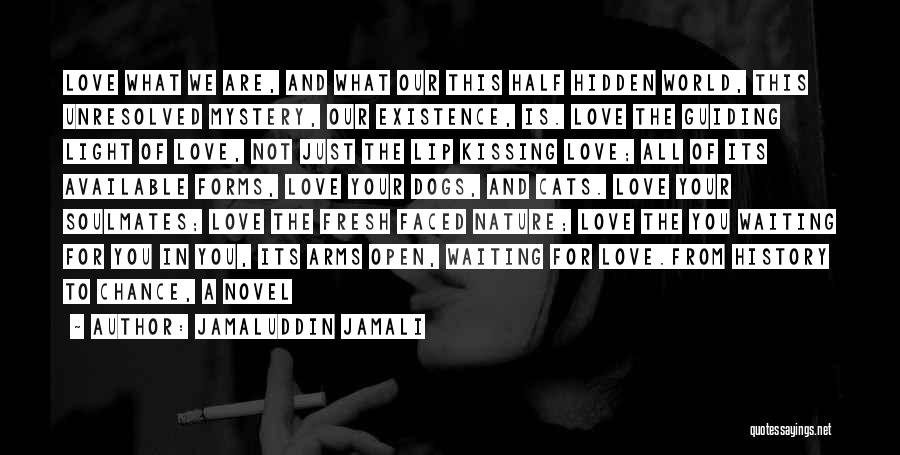 Jamaluddin Jamali Quotes: Love What We Are, And What Our This Half Hidden World, This Unresolved Mystery, Our Existence, Is. Love The Guiding