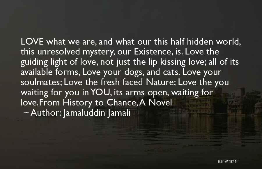 Jamaluddin Jamali Quotes: Love What We Are, And What Our This Half Hidden World, This Unresolved Mystery, Our Existence, Is. Love The Guiding