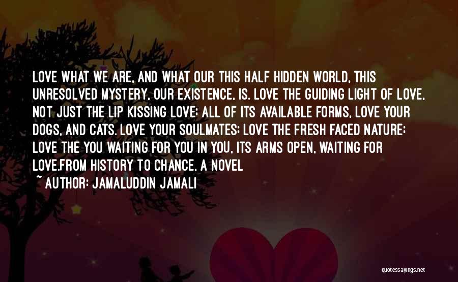 Jamaluddin Jamali Quotes: Love What We Are, And What Our This Half Hidden World, This Unresolved Mystery, Our Existence, Is. Love The Guiding