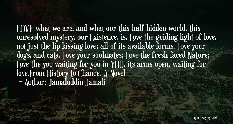Jamaluddin Jamali Quotes: Love What We Are, And What Our This Half Hidden World, This Unresolved Mystery, Our Existence, Is. Love The Guiding