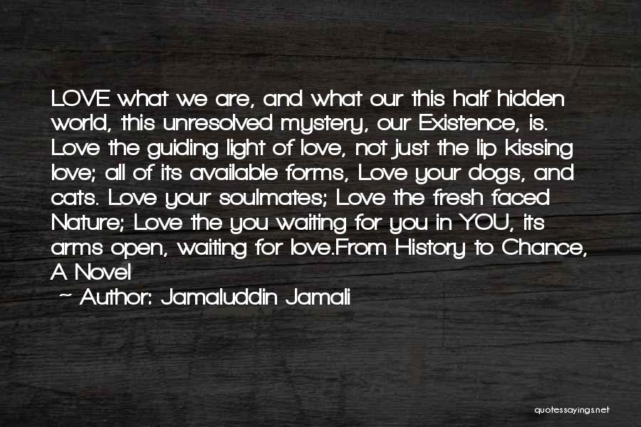 Jamaluddin Jamali Quotes: Love What We Are, And What Our This Half Hidden World, This Unresolved Mystery, Our Existence, Is. Love The Guiding