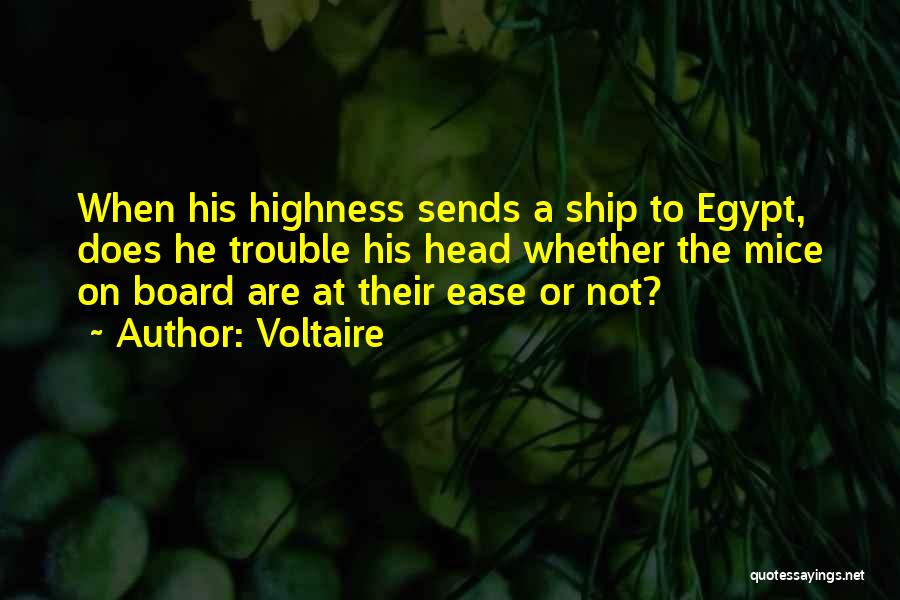 Voltaire Quotes: When His Highness Sends A Ship To Egypt, Does He Trouble His Head Whether The Mice On Board Are At