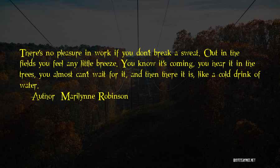 Marilynne Robinson Quotes: There's No Pleasure In Work If You Don't Break A Sweat. Out In The Fields You Feel Any Little Breeze.